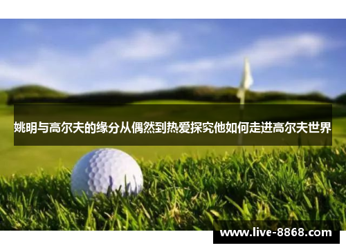 姚明与高尔夫的缘分从偶然到热爱探究他如何走进高尔夫世界 姚明与高尔夫的缘分从偶然到热爱探究他如何走进高尔夫世界