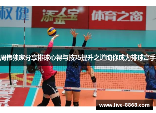 周伟独家分享排球心得与技巧提升之道助你成为排球高手