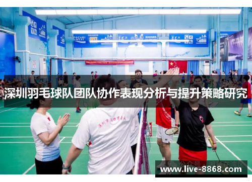 深圳羽毛球队团队协作表现分析与提升策略研究
