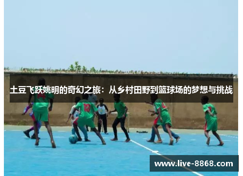 土豆飞跃姚明的奇幻之旅：从乡村田野到篮球场的梦想与挑战