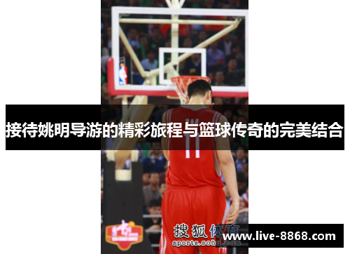 接待姚明导游的精彩旅程与篮球传奇的完美结合