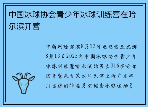 中国冰球协会青少年冰球训练营在哈尔滨开营