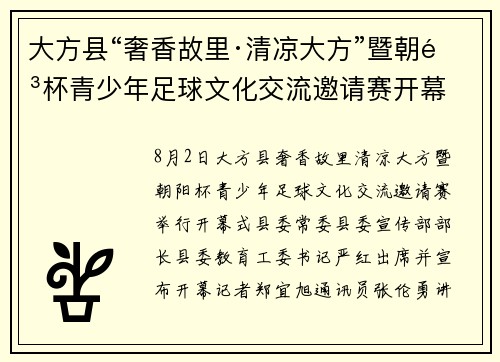 大方县“奢香故里·清凉大方”暨朝阳杯青少年足球文化交流邀请赛开幕 大方县“奢香故里·清凉大方”暨朝阳杯青少年足球文化交流邀请赛开幕